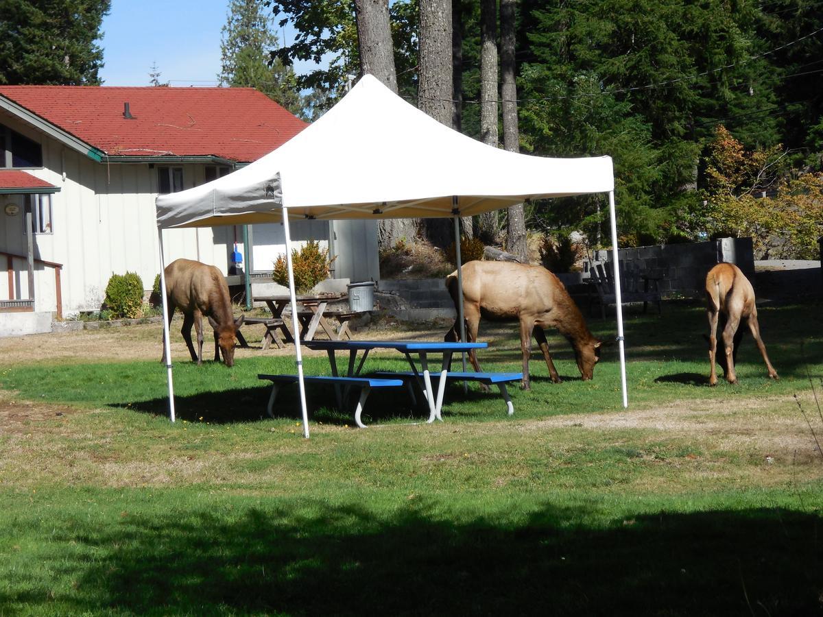 Mountain View Lodge - No Pets Allowed Packwood Exterior photo